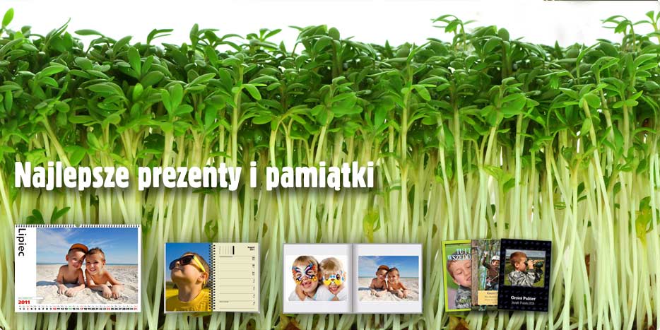 ALBOOM - Kalendarze, fotoksiążki, zeszyty szkolne i wiele, wiele innych...