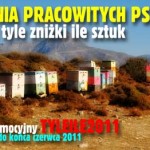 20110610---tyle-znizki-ile-sztuk 20110610---tyle-znizki-ile-sztuk