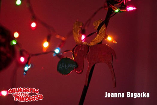 Joanna BogackaMiejsce 2 Christina Papaloannou - Konkurs Kolorowe Święta 2013 w Alboom.pl